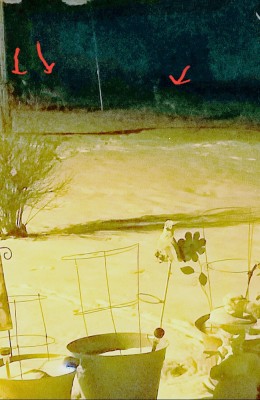 20180117_224934.jpg