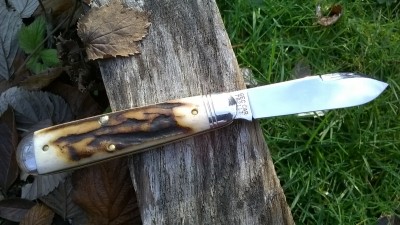 WP_20180122_049.jpg