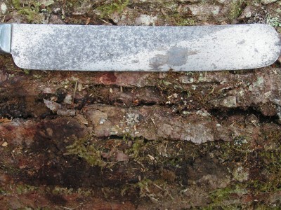 PICT0047.JPG