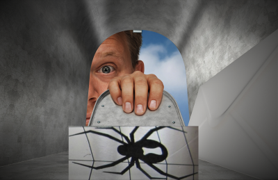 Black Widow (2).png