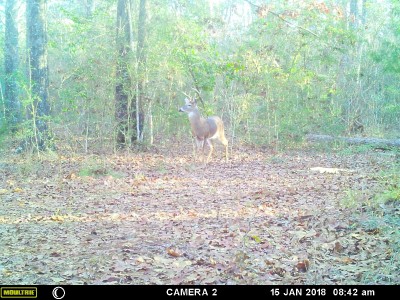 The day before he met the .243
