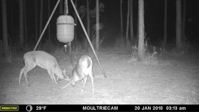 Goin' at it!