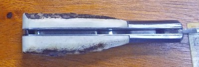IXL Custom Stag Barlow i.jpg