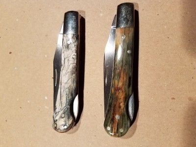 Petrified Wildebeest & Mastadon Tooth Pinch Lock Backs.jpg
