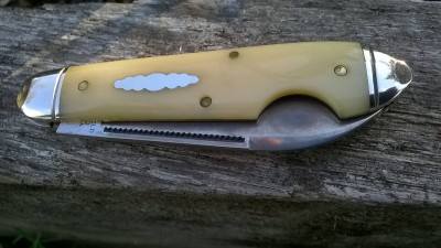 WP_20180130_034.jpg