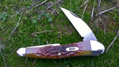 WP_20180202_096.jpg