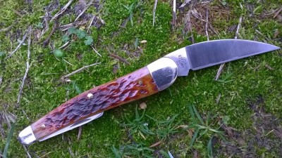 WP_20180202_097.jpg