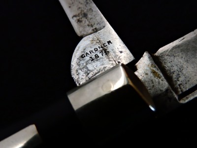 DCN9983 (1).JPG