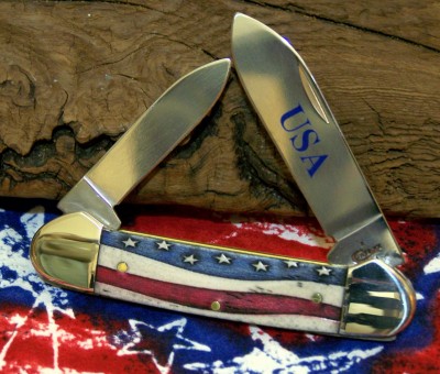 Star Spangled Case Canoe 2018.JPG