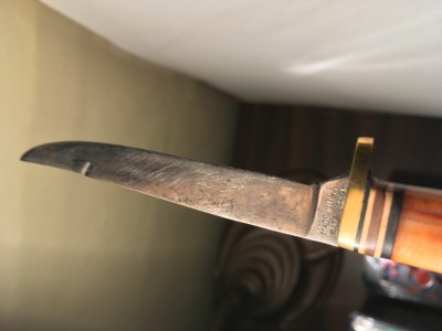 image5 (2).jpeg