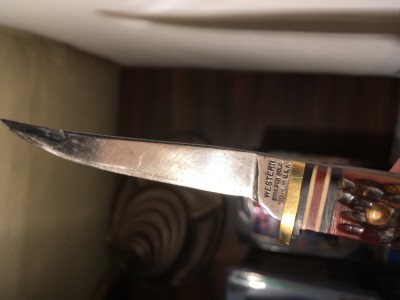 image7 (2).jpeg