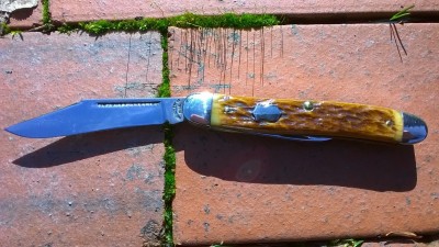 WP_20180130_002.jpg
