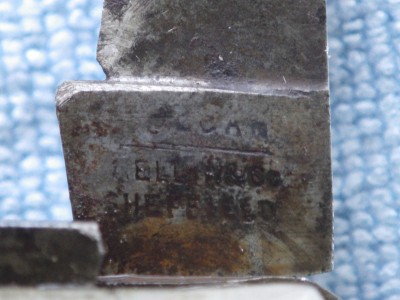 RIMG1195.JPG