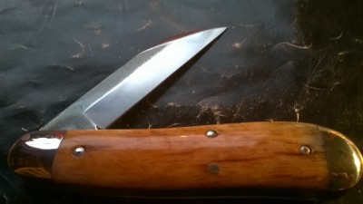 WP_20180208_005.jpg