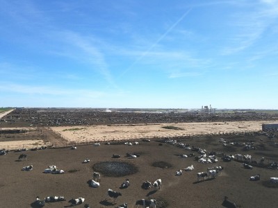 20171024_125402.jpg