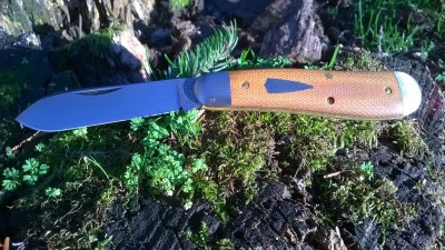 WP_20180212_055.jpg