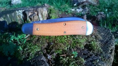 WP_20180212_061.jpg