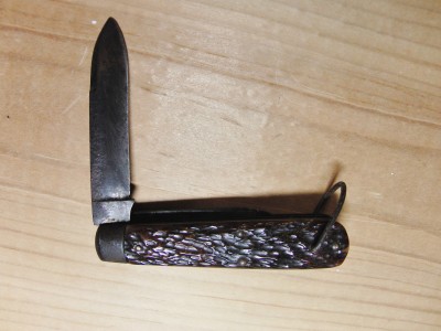 CIMG7204.JPG