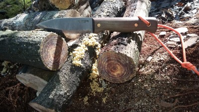 Fatwooddecayedsolid.jpg