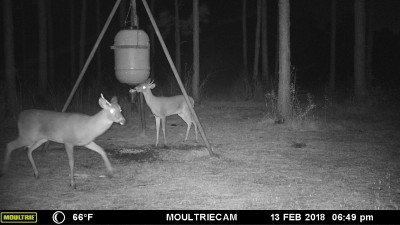 Maybe they'll be big boys next year!