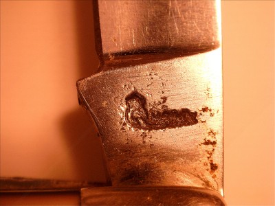 queen long tail stamp.jpg