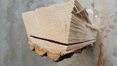 20180217_130422.jpg