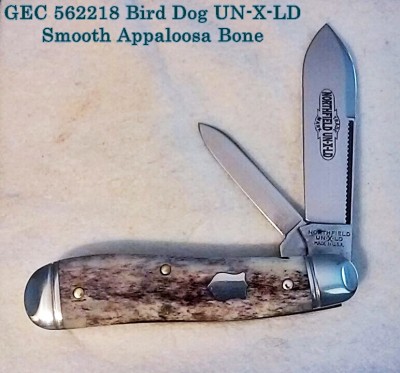 Birddog 1.jpg