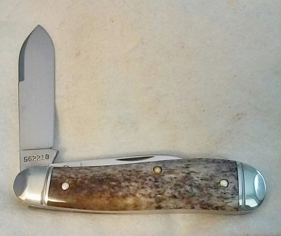 Birddog 6.jpg