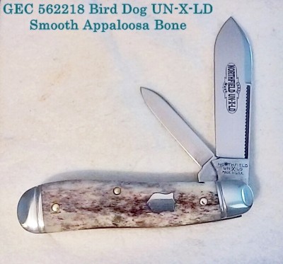 Birddog 1 - Lightened.jpg