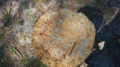 20180218_133515.jpg