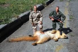 gi joe.jpg