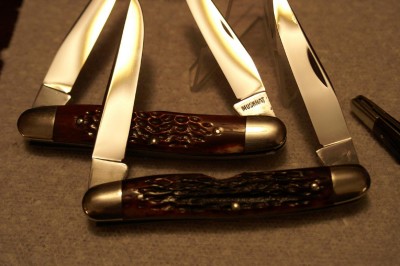 muskrats 010.JPG
