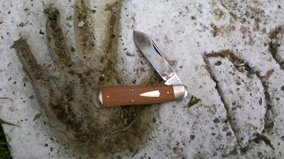 WP_20180221_066.jpg