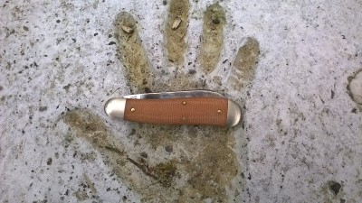 WP_20180221_064.jpg
