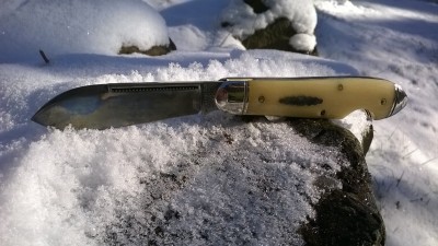 WP_20180222_005.jpg
