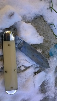 WP_20180222_092.jpg