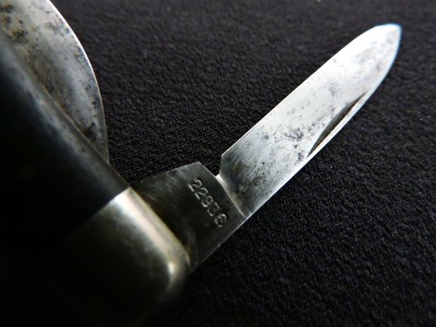 DSCN9260.JPG