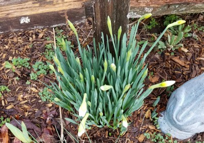 20180223_080113.jpg