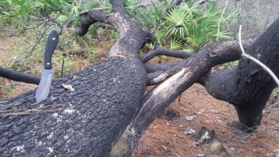 20180223_144131.jpg
