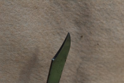 005.JPG