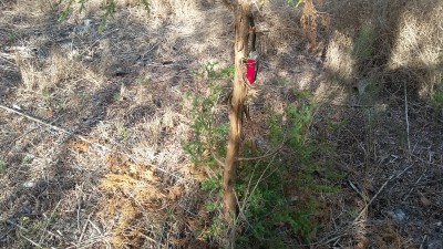 20180223_160206.jpg