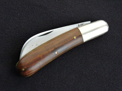 DSCN9296.JPG