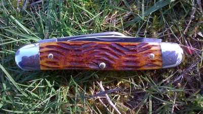 WP_20180301_054.jpg