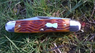 WP_20180301_058.jpg