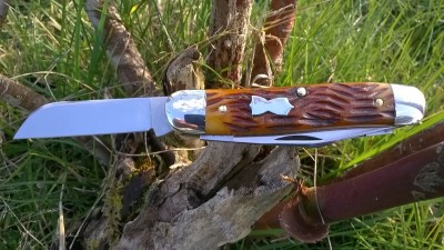 WP_20180301_030.jpg