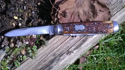 WP_20180303_004.jpg