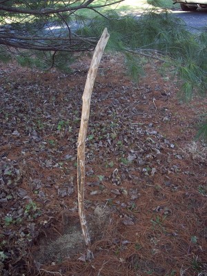 100_2047.JPG