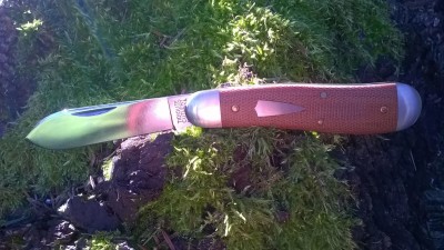 WP_20180306_010.jpg