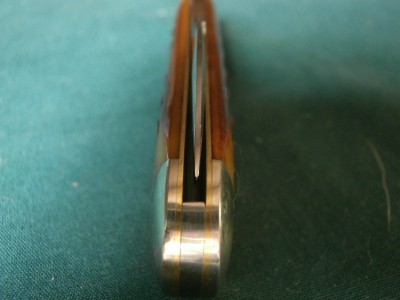 P3100007.JPG