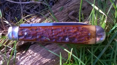 WP_20180311_078.jpg